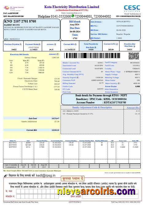 India Kota electricity business utility bill